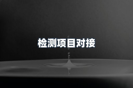 检测项目对接