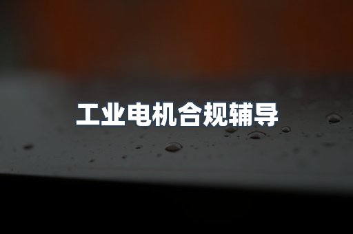 工业电机合规辅导