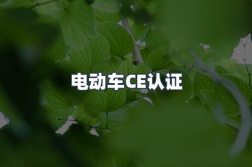 电动车CE认证